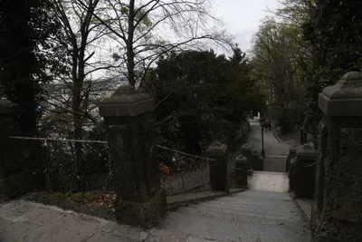 DSC_7023 (Large).JPG